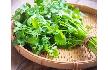 Everything You Need to Know About Coriander